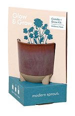 Glow & Grow - Wildflowers<br>by Modern Sprout